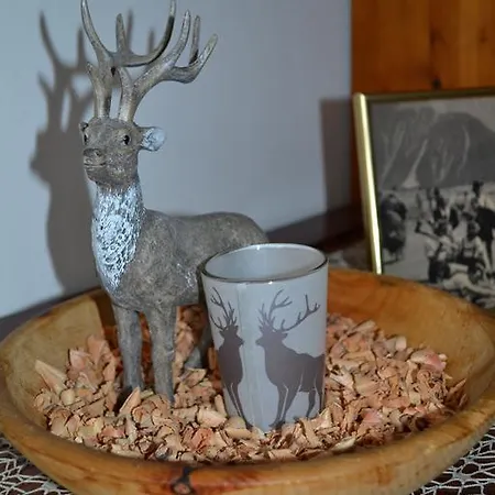 Apartmán Mit Herz Finkenberg